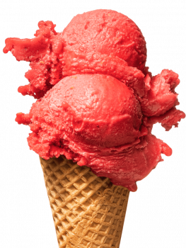 Sorbet jeżyna
