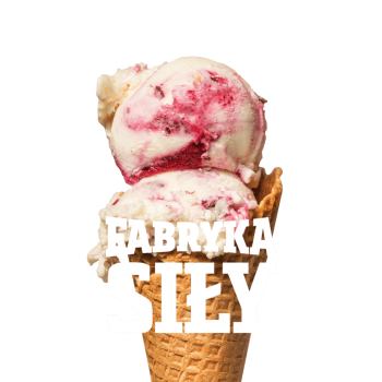 Jogurt z musem z czarnej porzeczki PROTEIN #FabrykaSiły